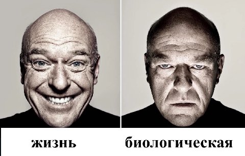had 77 У 4 i bis: ЖИЗНЬ биологическая
