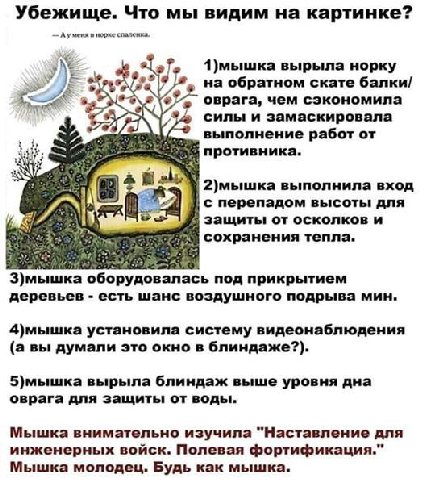 Убежище. Что мы видим на картинке? Mert в порке спалсика. aly 1)мышка вырыла норку на обратном скате балки/ оврага, чем сэкономила 5 5 силы и замаскировала а выполнение работ от противника. в. 2)мышка