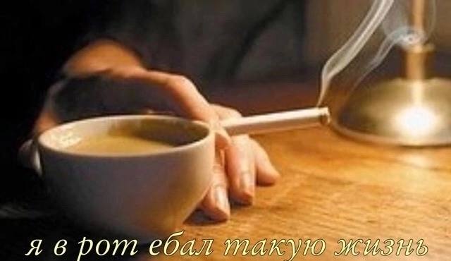 pom ебал такую жиз