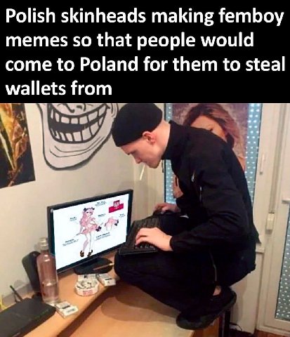 Polish skinheads making femboy memes so that people would come to Poland for them to steal wallets from в В