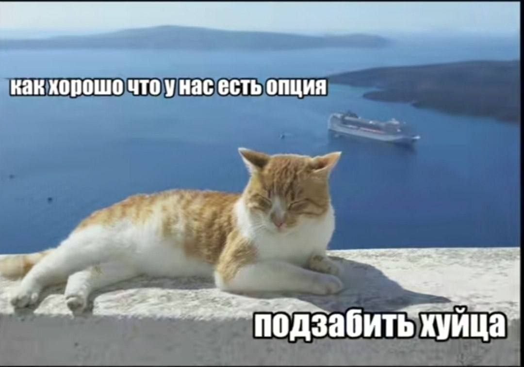как хорошо что унас есть опция подзабить хуица