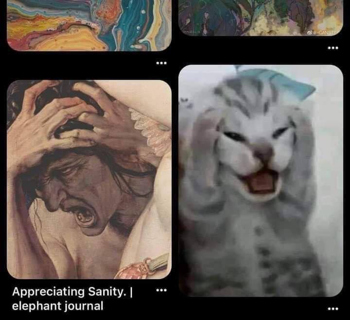 Appreciating Sanity. elephant journal