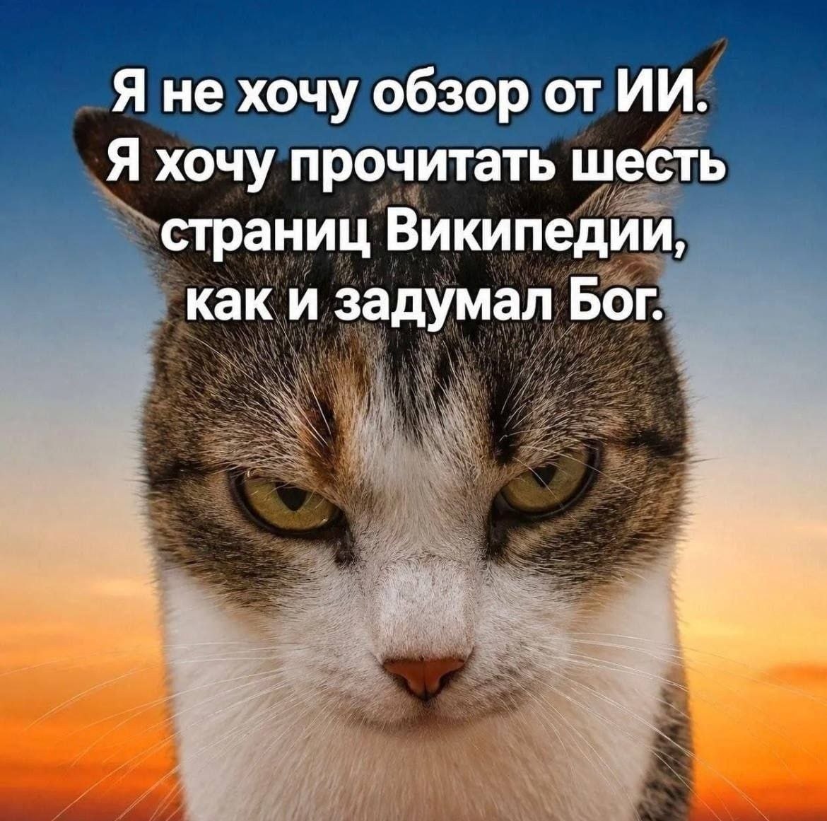 Я не хочу обзор от Я хочу прочитать шесть страниц Википедии, как и задумал Бог.