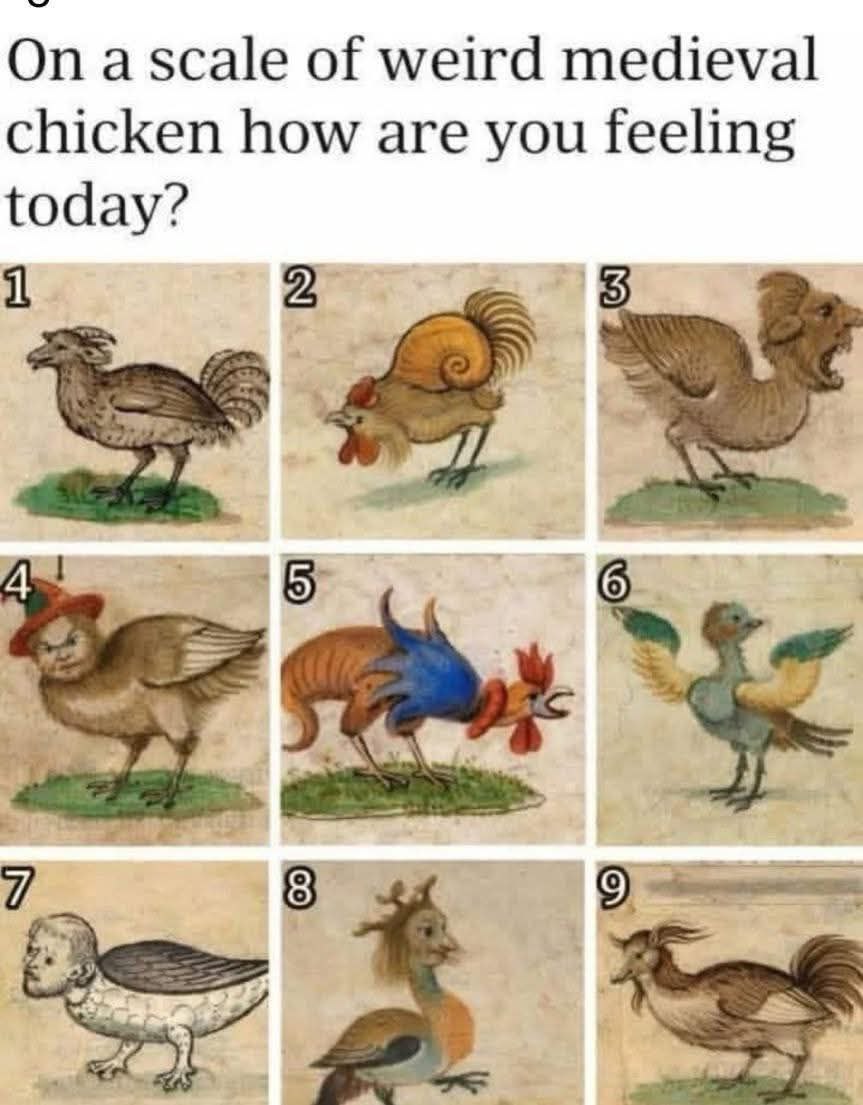 On a scale of weird medieval chicken how are you feeling today? 2 [5