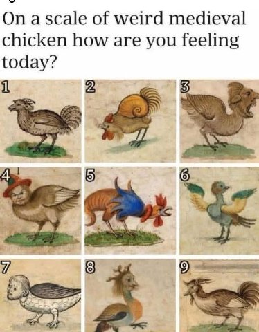 On a scale of weird medieval chicken how are you feeling today? 2 [5