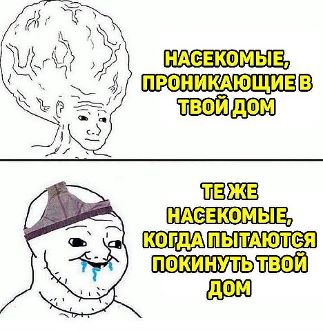 a НАСЕКОМЫЕ, We 2 НАСЕКОМЫЕ, ПОКИНУЛЬТВОЙ дом