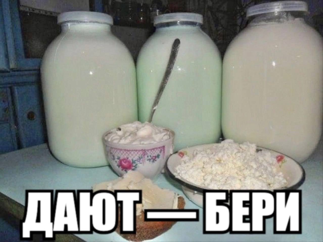 БЕРИ ДАЮТ