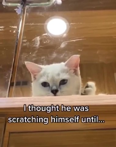 scratching himself until...