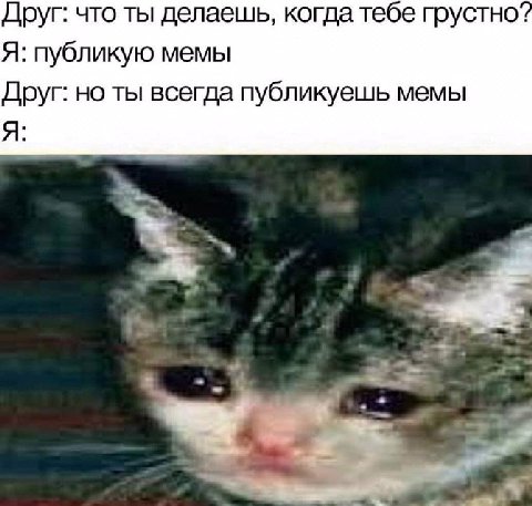 Друг: что ты делаешь, когда тебе грустно Я: публикую мемы Друг: но ты всегда публикуешь мемы
