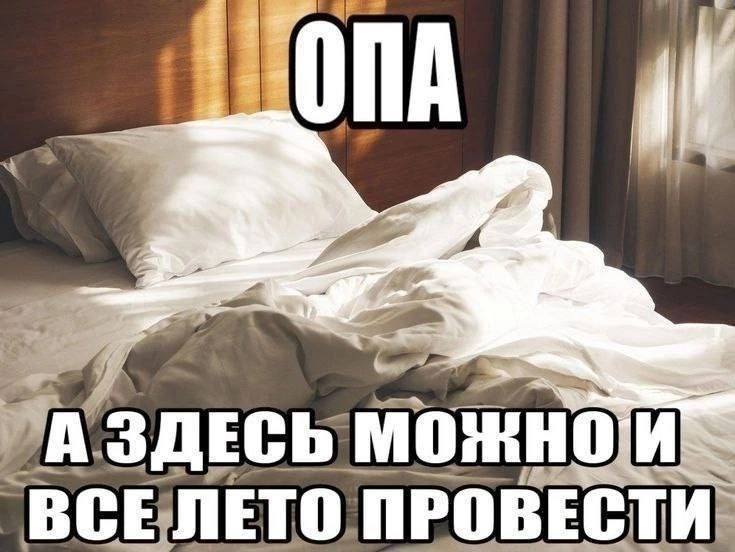 ЗДЕСЬ МОЖНО ВСЕЛЕТО ПРОВ ЕСТИ