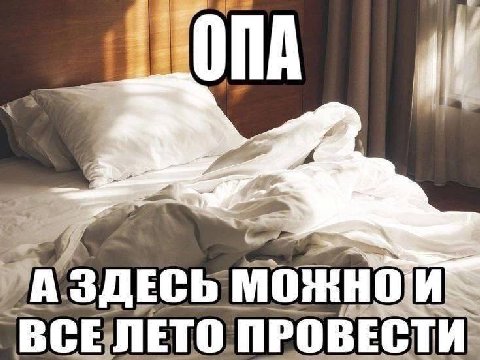 ЗДЕСЬ МОЖНО ВСЕЛЕТО ПРОВ ЕСТИ