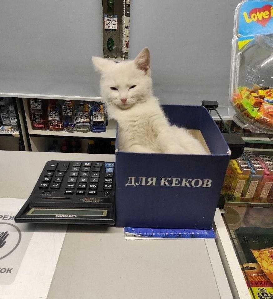 4 к. В ДЛЯКЕ KOB у у а