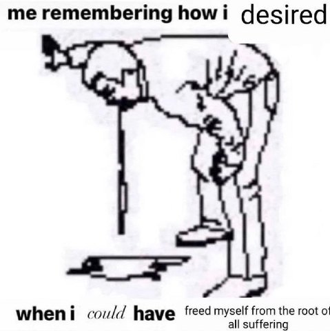me remembering howi desired cou/d have freed myself from the root all suffering