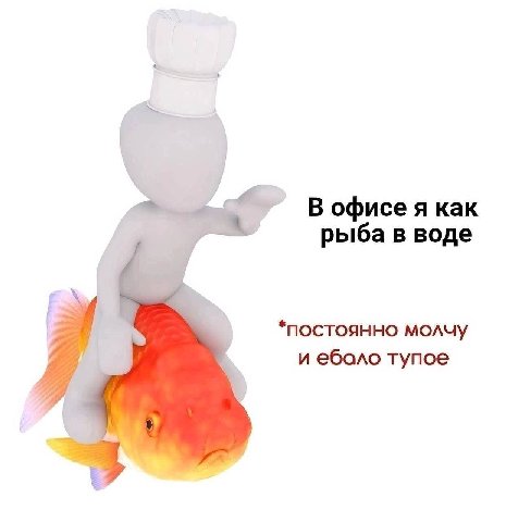 В офисе я как рыба в воде *постоянно молчу и ебало тупое