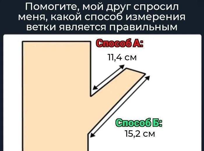 Помогите, мой друг спросил меня, какой способ измерения ветки является правильным As 11,4 СпособБ: 15,2