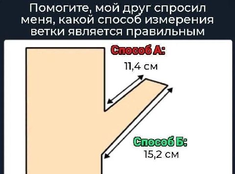 Помогите, мой друг спросил меня, какой способ измерения ветки является правильным As 11,4 СпособБ: 15,2