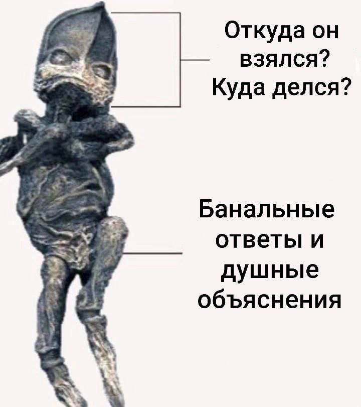 Откуда он взялся? Куда делся? 1 Банальные ответы и душные объяснения