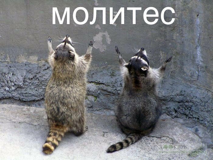 2 МОЛ PAS итес ity Я 4 a