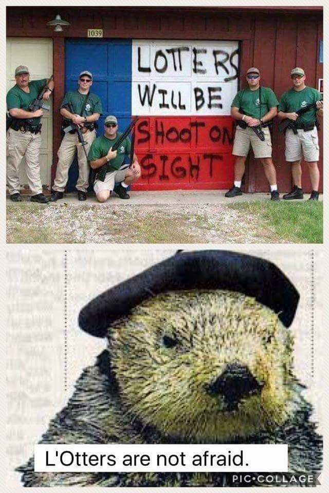 A 3 A 4 2 Otters are not afraid.