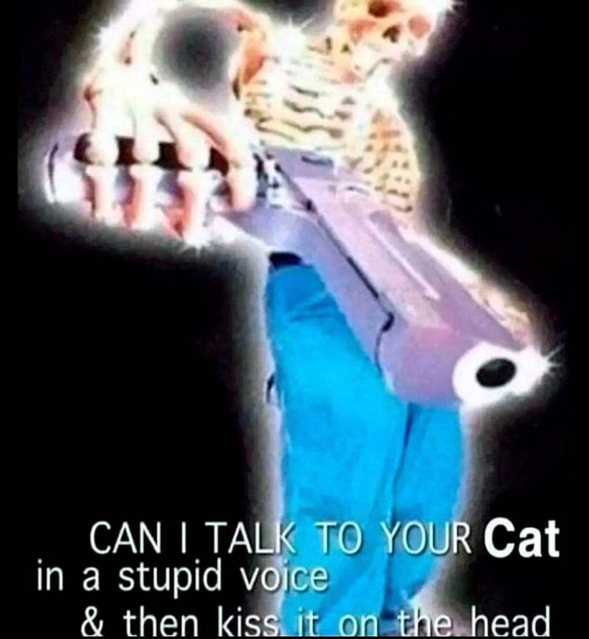 a CAN TALK TO YOUR Cat stupid voice then kiss И on the head