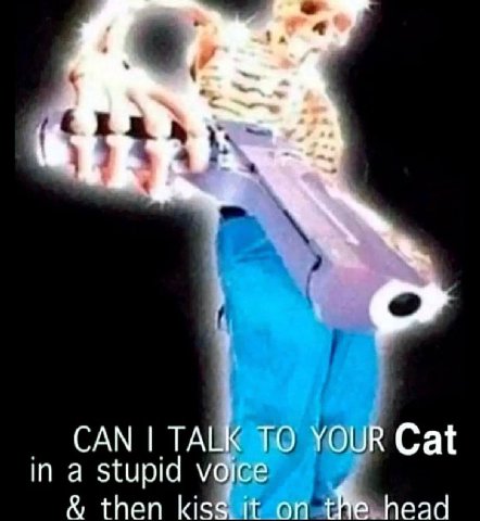 a CAN TALK TO YOUR Cat stupid voice then kiss И on the head