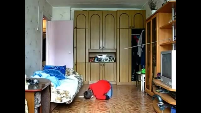 тупа конор сегодня: