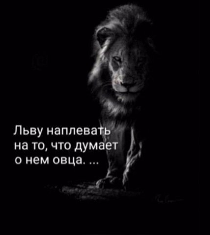 Льву наплевать на то, что думает о нем овца.
