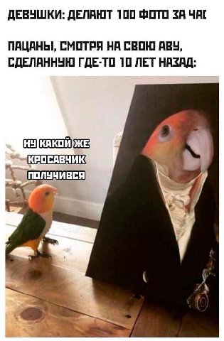 ДЕВУШКИ: ДЕЛАЮТ 100 ФОТО ЗА ЧАГ ПАЦАНЫ, СМОТРЯ НА СВОЮ АВУ, СДЕЛАННУЮ ГДЕ-ТО 10 ЛЕТ НАЗАД: КРОСАВЧИК