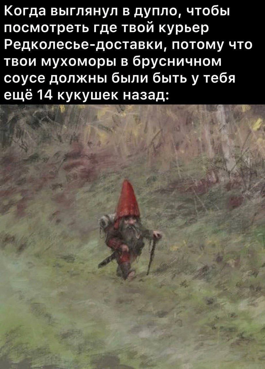 Когда выглянул в дупло, чтобы посмотреть где твой курьер Редколесье-доставки, потому что твои мухоморы в брусничном соусе должны были быть у тебя ещё 14 кукушек назад: