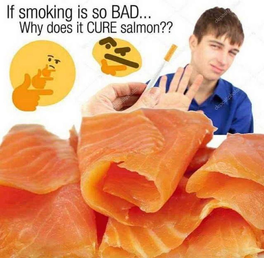 If smoking is so BAD... Why does it CURE salmon??