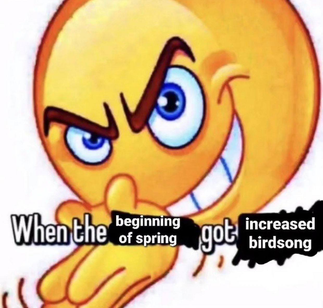 Whenthe beginnin got
