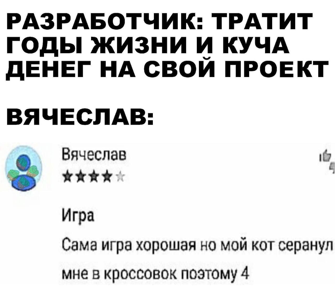 РАЗРАБОТЧИК: ТРАТИТ ГОДЫ ЖИЗНИ И КУЧА ДЕНЕГ НА СВОИ ПРОЕКТ ВЯЧЕСЛАВ: Вячеслав Игра Сама игра хорошая но мой кот серанул мне в кроссовок поэтому 4