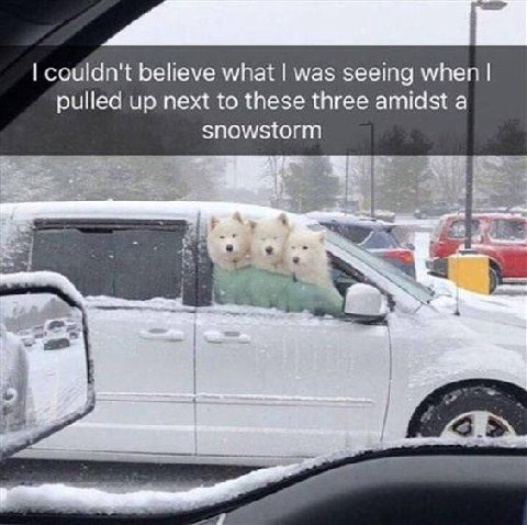 couldn't believe what was seeing when pulled up next to these three amidst a snowstorm