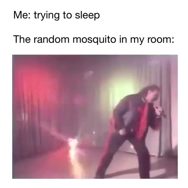 Ме: trying to sleep The random mosquito in my room: