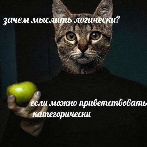 зачем мыслить логически? ёсли можно приветствовать категорически