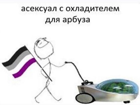 асексуал с охладителем для арбуза А