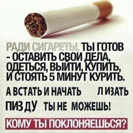 ТЫ ГОТОВ МИНУТ КУРИТЬ. АВСТАТЬ И НАЧАТЬ ЛИЗАТЬ ПИЗДУ ТЫНЕ МОЖЕШЬ!