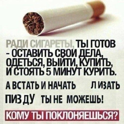 ТЫ ГОТОВ МИНУТ КУРИТЬ. АВСТАТЬ И НАЧАТЬ ЛИЗАТЬ ПИЗДУ ТЫНЕ МОЖЕШЬ!