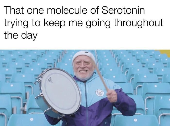 That one molecule of Serotonin trying to keep me going throughout the day
