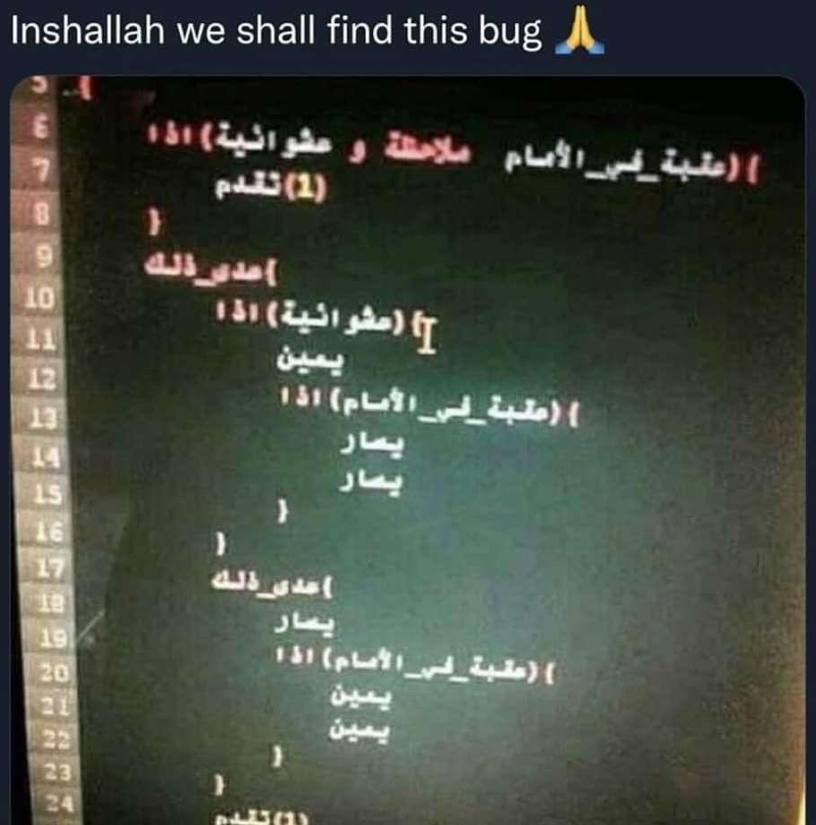 Inshallah we shall find this bug 13