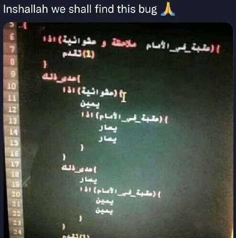 Inshallah we shall find this bug 13