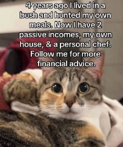 а hunted my own have 2 passive incomes, my own house, a personal chef. Follow me for more financial advice. у