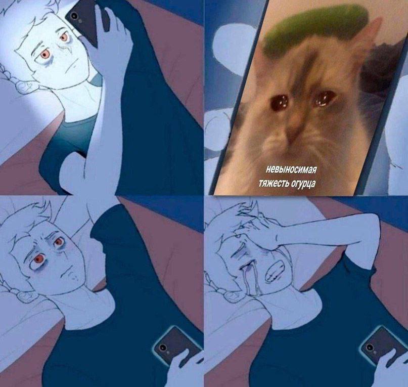и ON у К невыносимая 4 ТЯЖЕСТЬ огурца