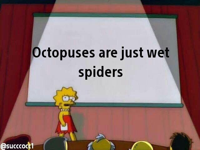 Octopuses are just we spiders