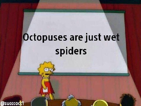Octopuses are just we spiders