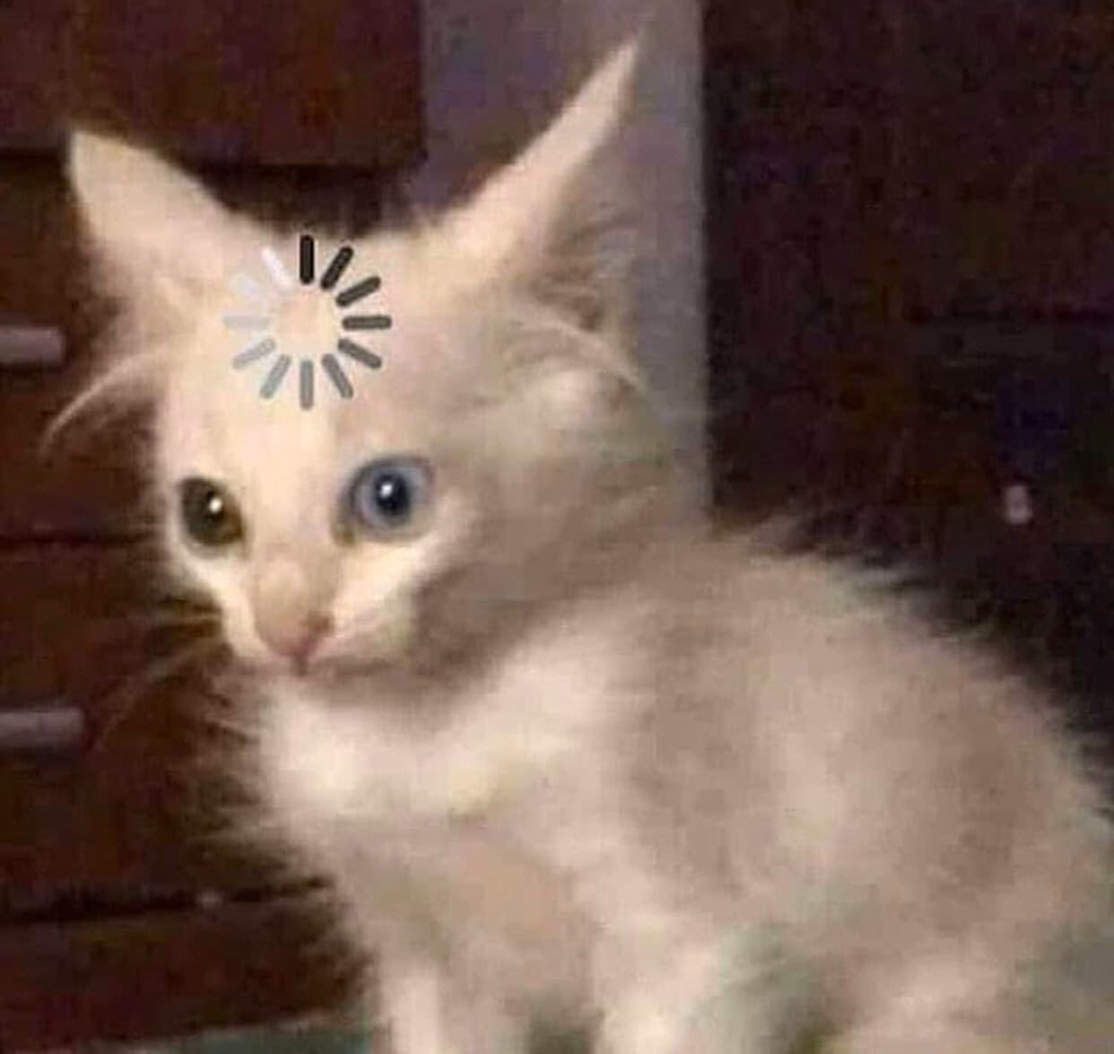 ver