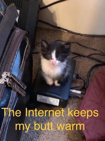 The Internet keeps my butt warm