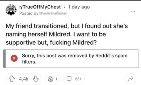 r/TrueOffMyChest 1 day ago У Posted i My friend transitioned, but found out she’s naming herself Mildred. want to be supportive but, fucking Mildred? Sorry, this post was removed Reddit's spam filters