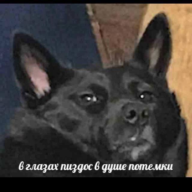6 глазах пиз дос 6 душе потемки