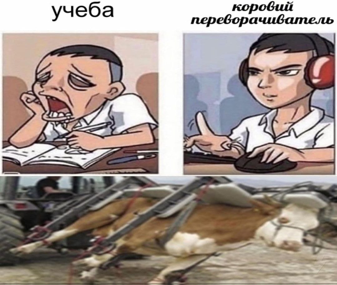 учеба переворачиватель